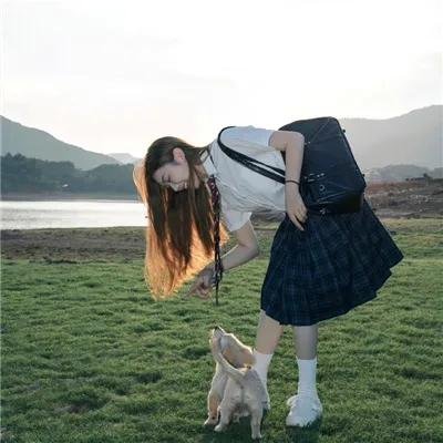 了不起的狐狸爸爸